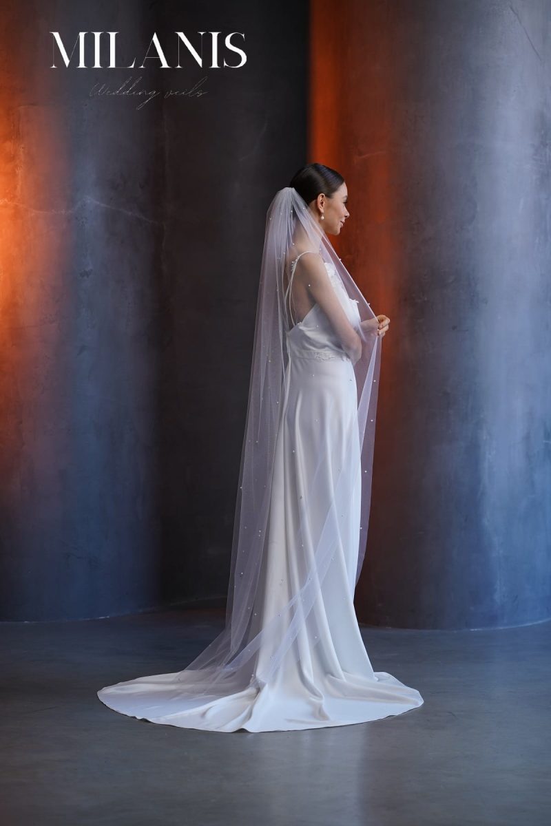 Model 203 size (1) - Image 4
