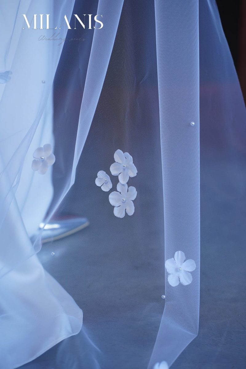 Model 208 size (2) - Image 3