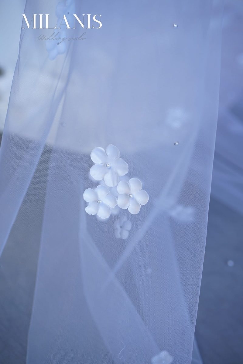 Model 208 size (1) - Image 5